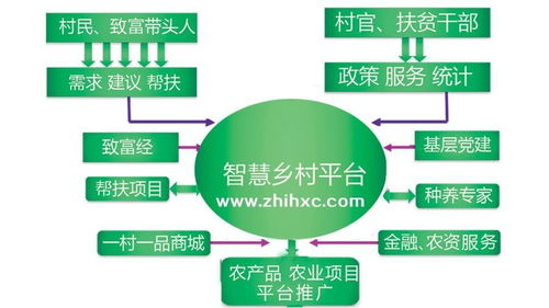 數(shù)字鄉(xiāng)村 概念解析與實踐路徑——信息技術咨詢服務視角